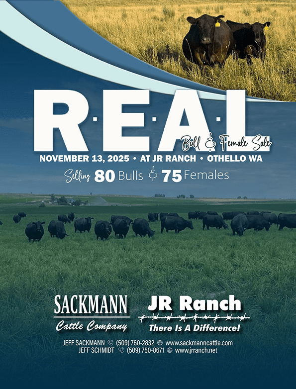JR Ranch cattle sale poster with grazing cows