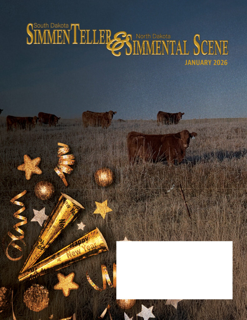 Cows in field with festive decorations.