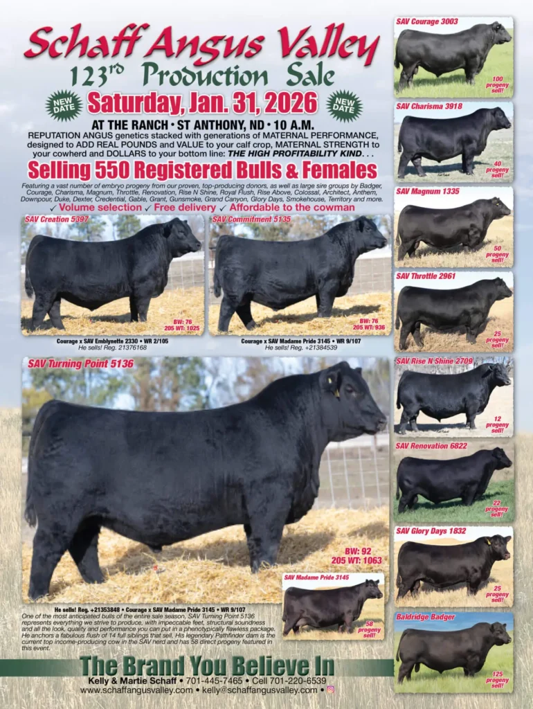 Schaff Angus Valley bull sale poster