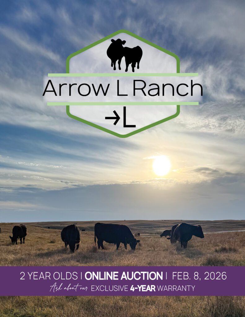 Arrow L Ranch logo over grazing cattle