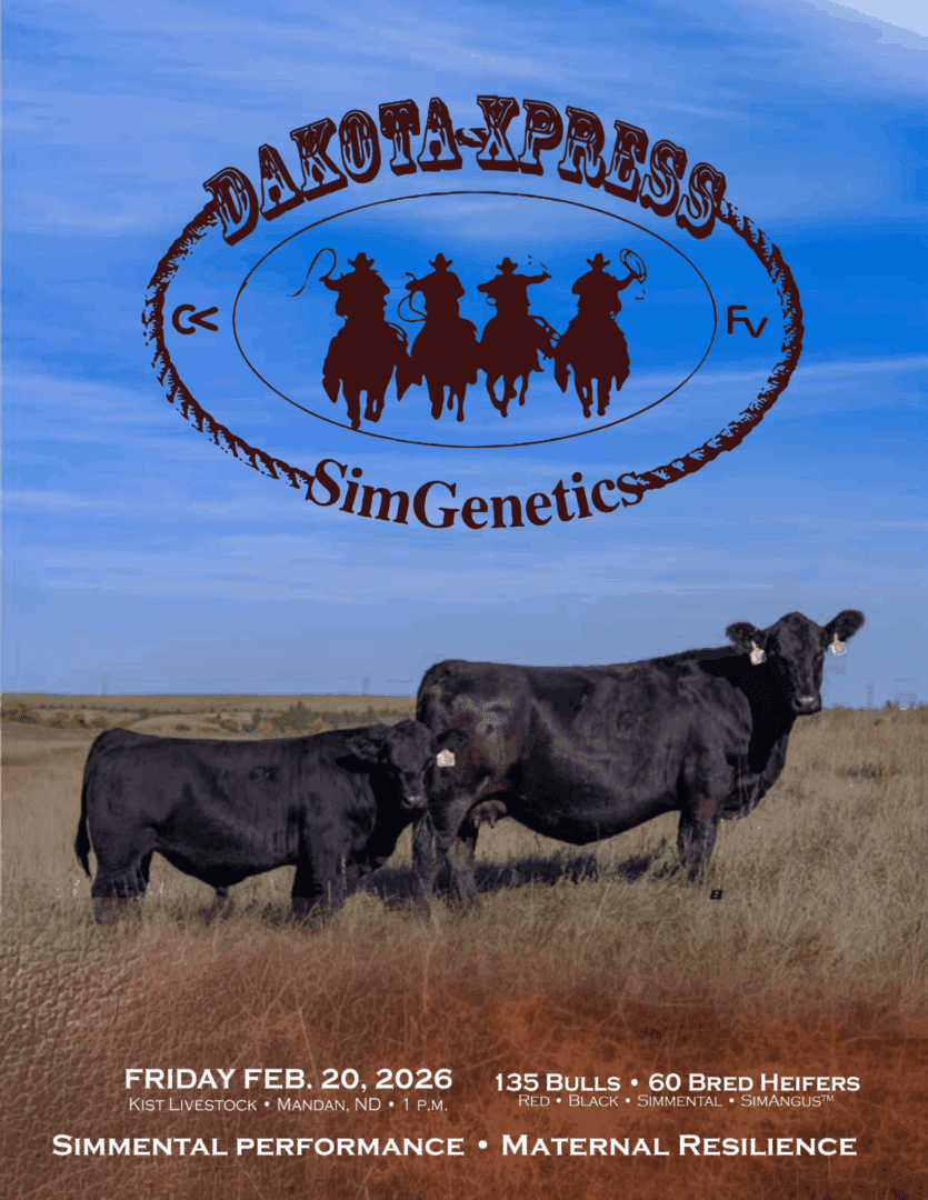Dakota-Xpress SimGenetics logo above beef cattle