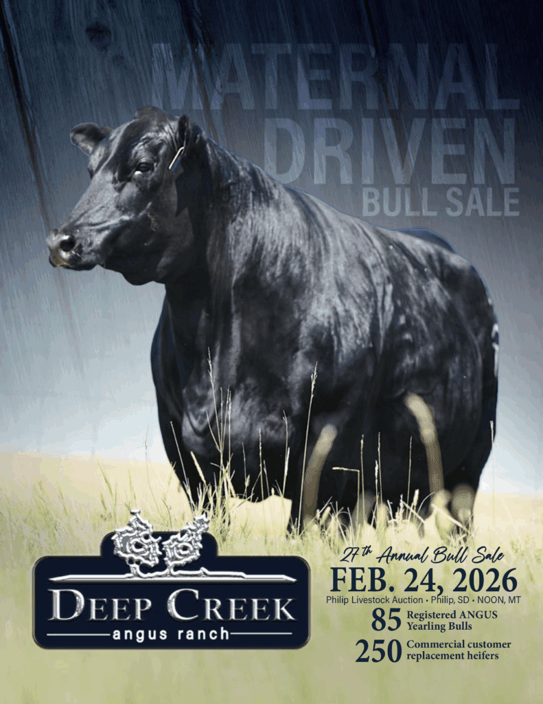 Deep Creek Black Angus bull sale poster