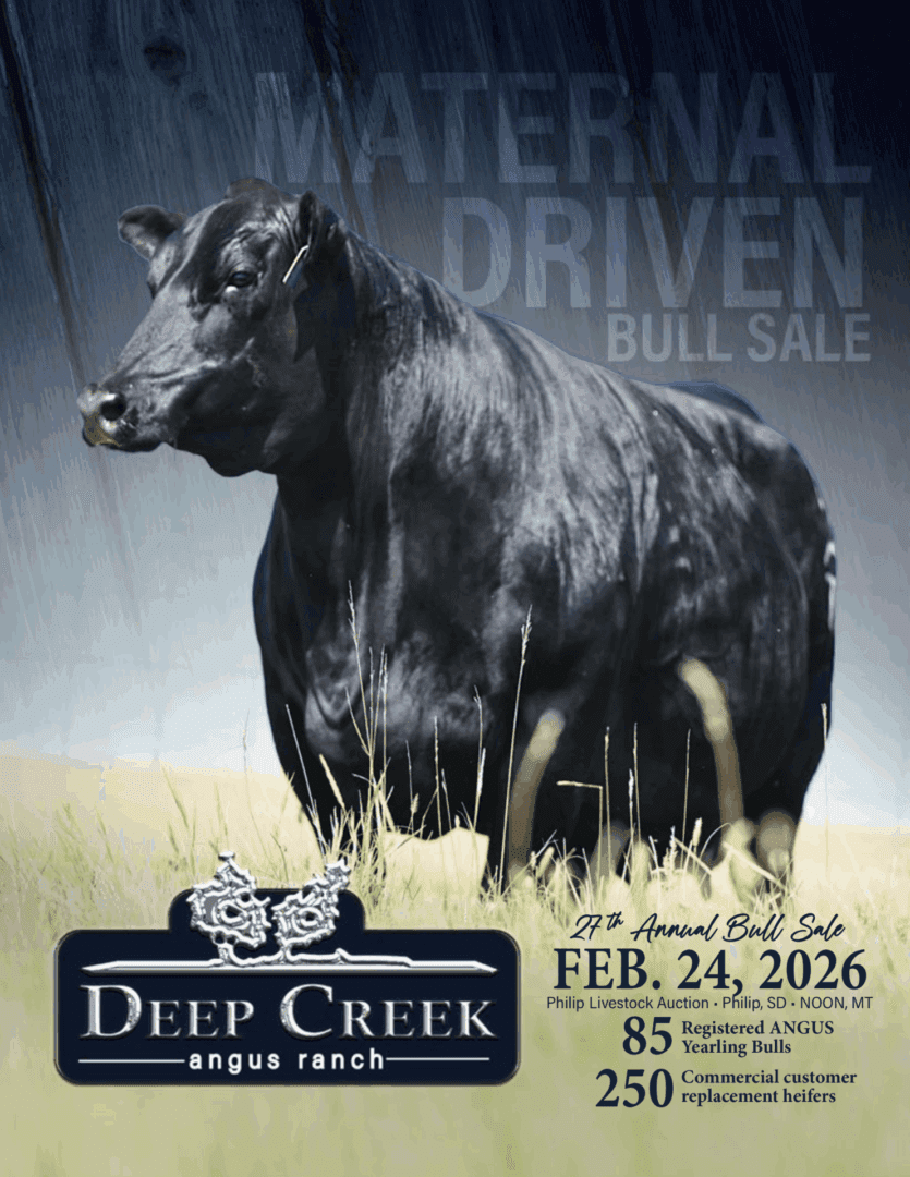 Deep Creek Black Angus bull sale poster