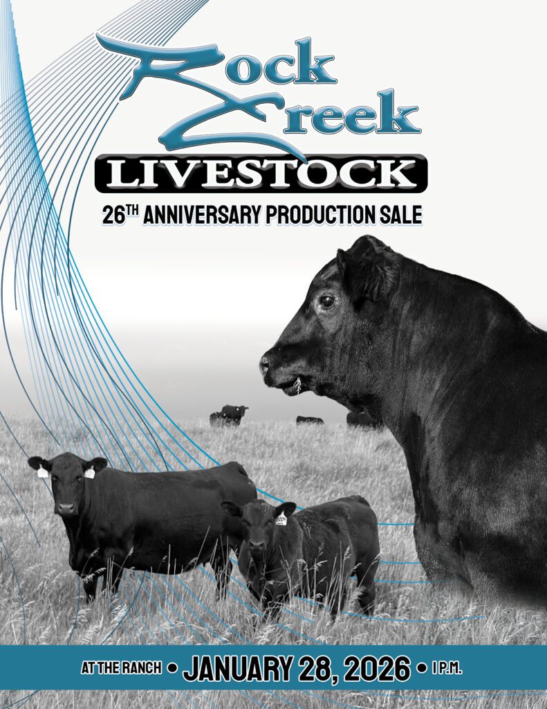 Rock Creek Livestock promotional poster with cattle