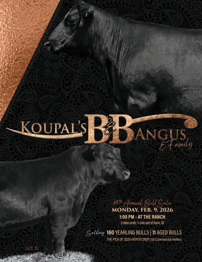 Koupal's Angus bull sale poster