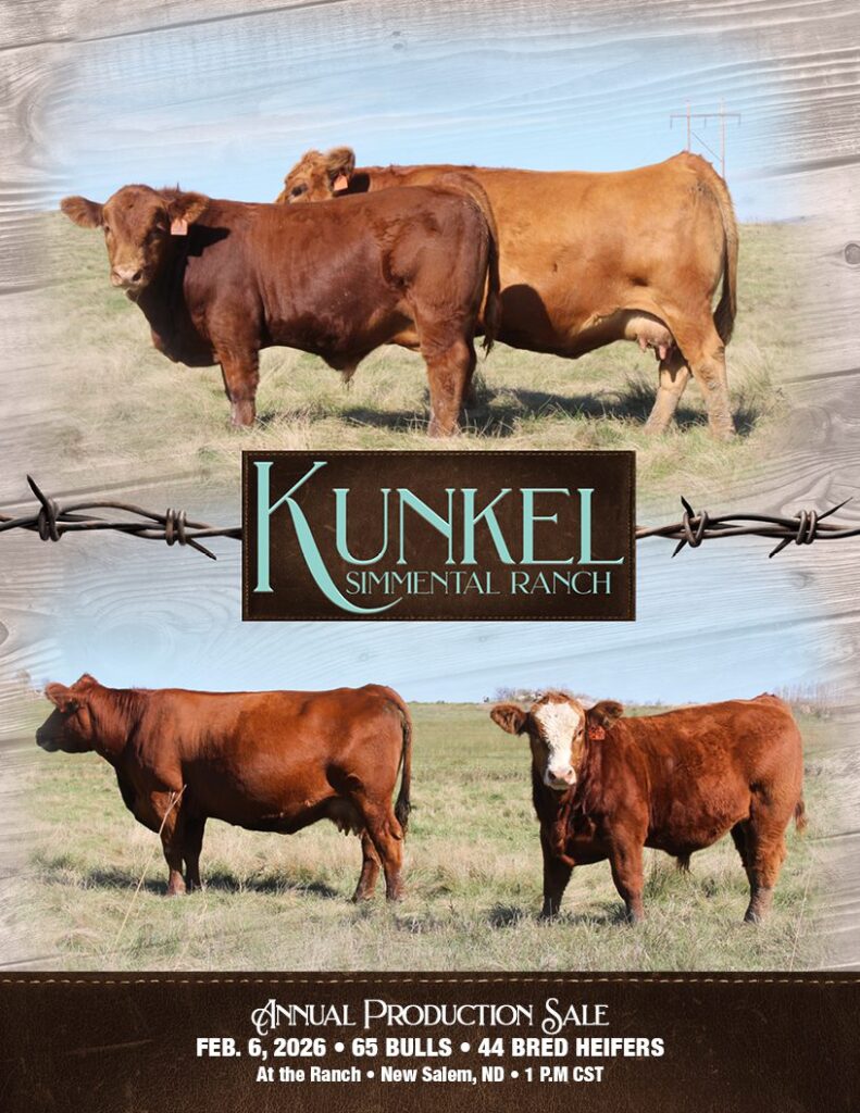 Kunkel Simmental Ranch cattle sale poster