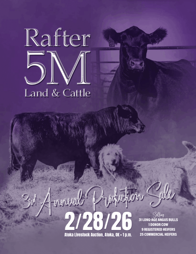 Rafter 5M cattle and livestock sale poster