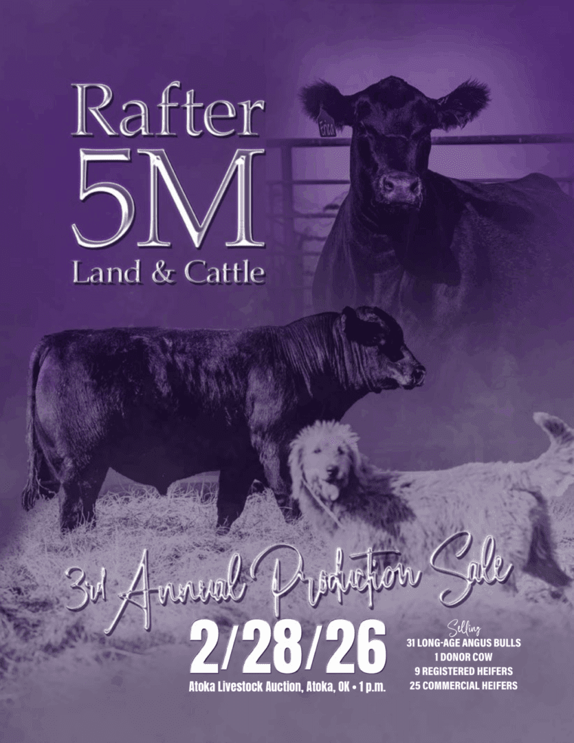 Rafter 5M cattle and livestock sale poster