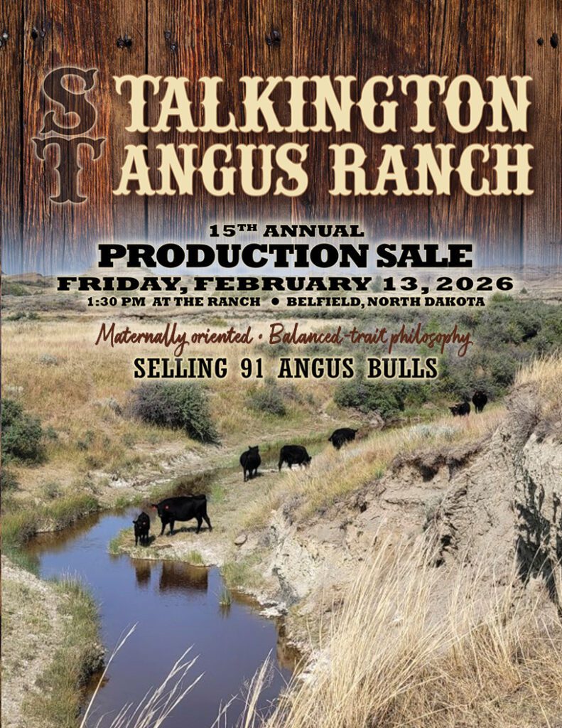 Angus ranch production sale poster with cattle