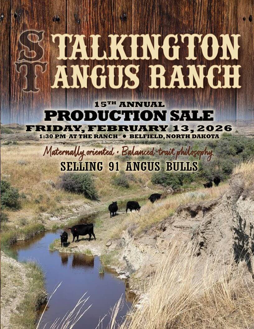 Angus ranch production sale poster with cattle