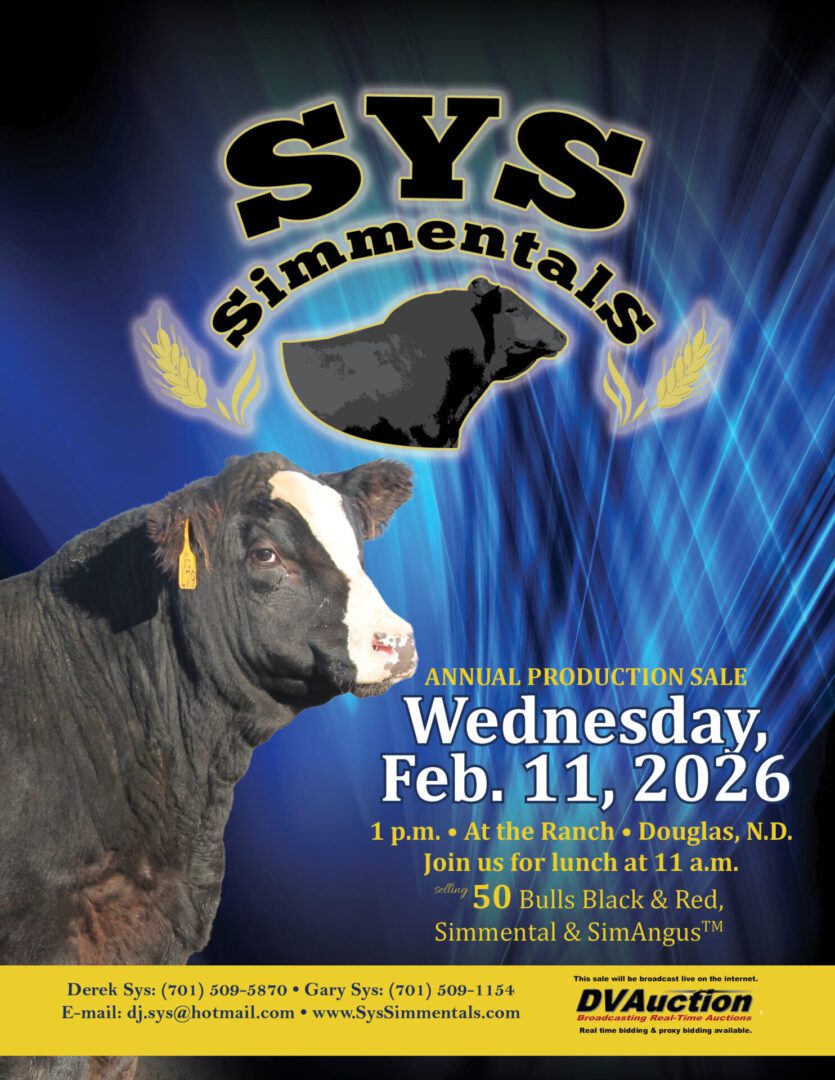 Sys Simmentals cattle sale poster with bull