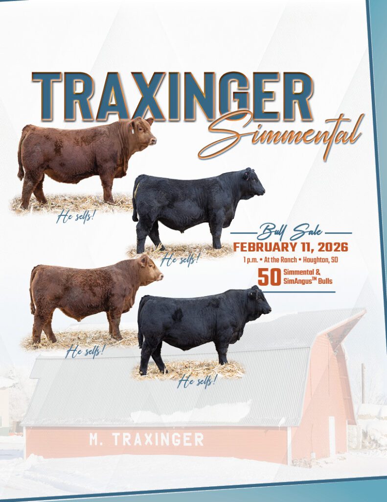 Traxinger Simmental bull sale advertisement