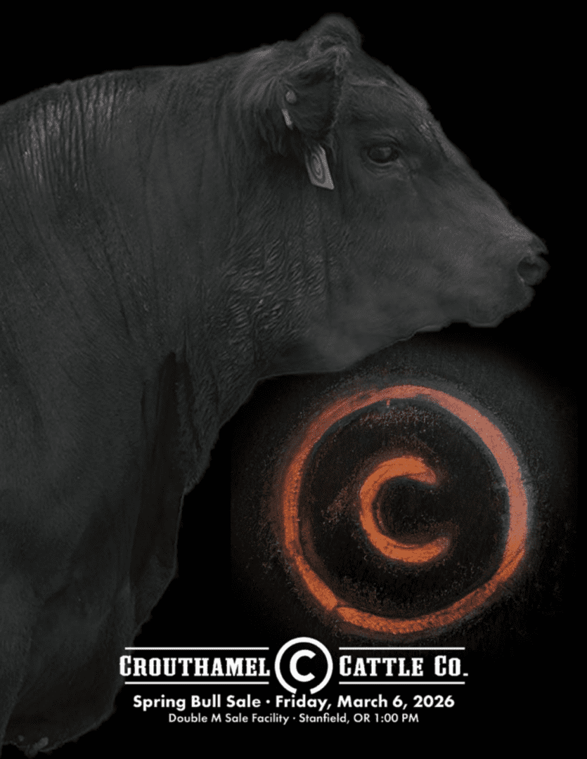 Black cow profile with orange circular logo