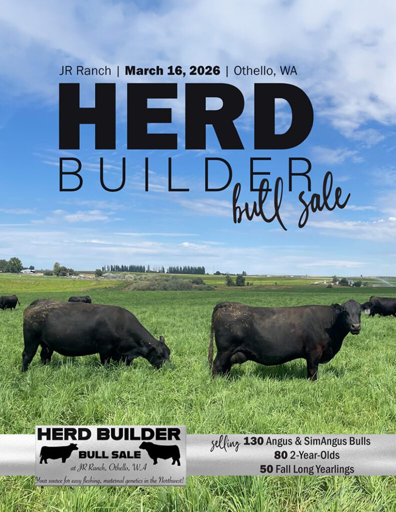 Herd Builder bull sale banner, grazing bulls