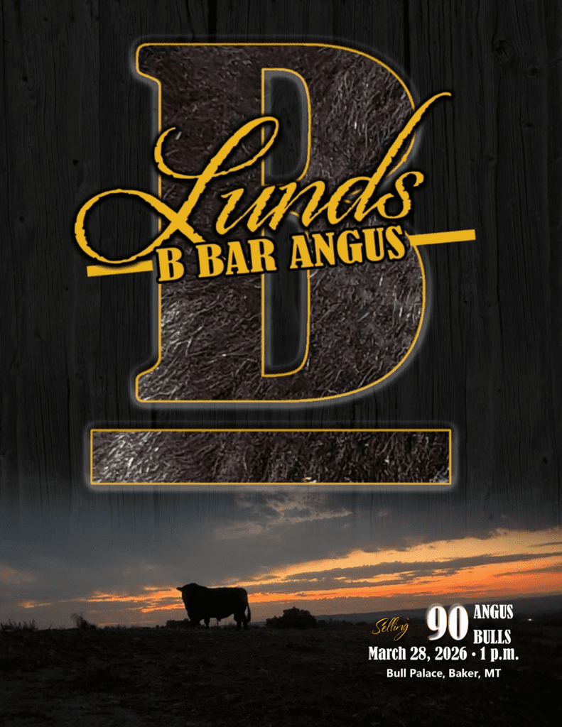 Lunds B Bar Angus logo with silhouetted cattle