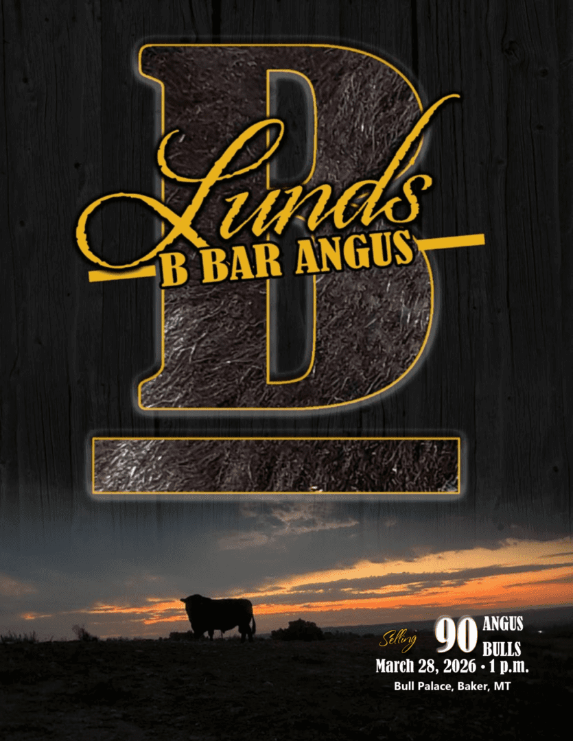Lunds B Bar Angus logo with silhouetted cattle