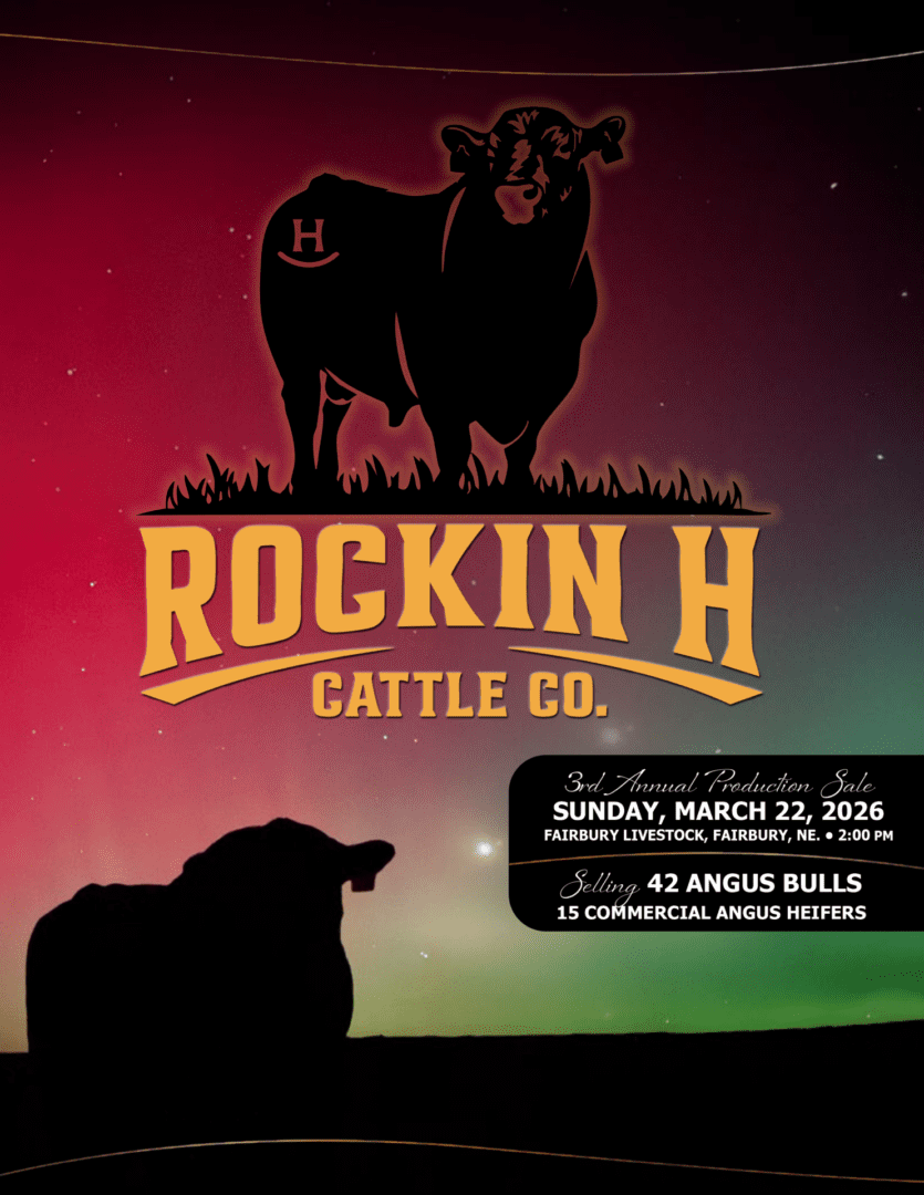 Rockin H Cattle Co. logo with bull silhouette