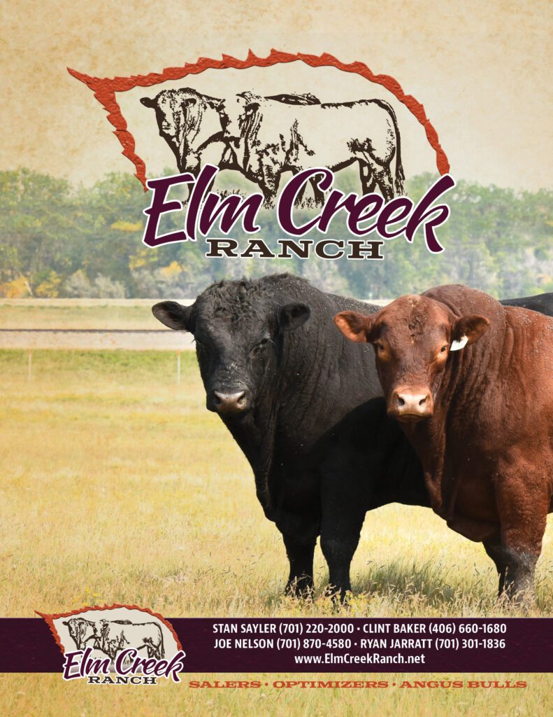 Elm Creek Ranch logo with two bulls