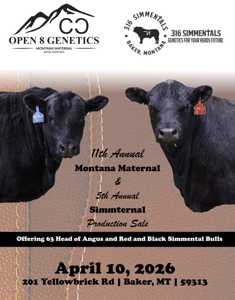 Montana Black Angus and Simmental sale poster
