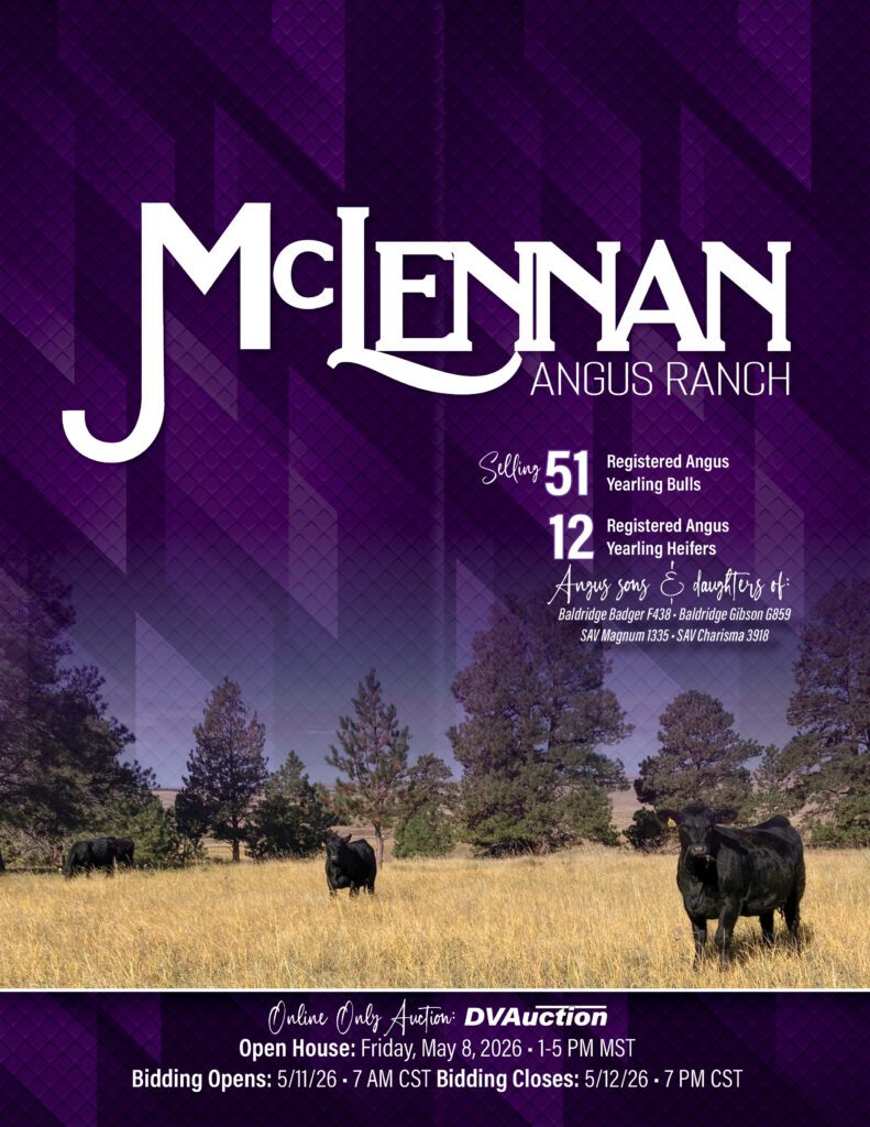 McLennan Angus Ranch logo with grazing cattle